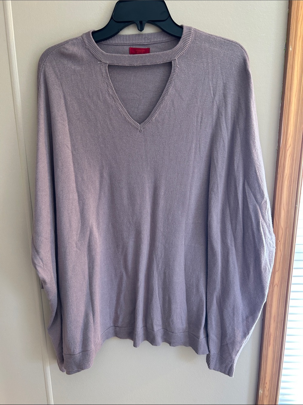 Jennifer Lopez Lavender V-Neck Women's Sweater